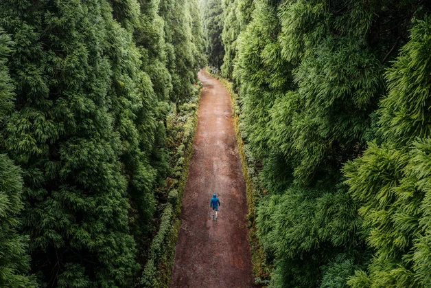 Eine Luftaufnahme eines einsamen Wanderers in einer blauen Jacke, der einen schmalen sehr geraden Erdweg zwischen dichtem grünem Nadelwald durchquert.